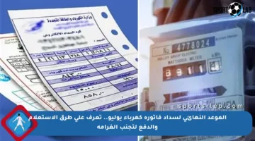 الموعد النهائي لسداد فاتورة كهرباء يوليو.. تعرف على طرق الاستعلام والدفع لتجنب الغرامة